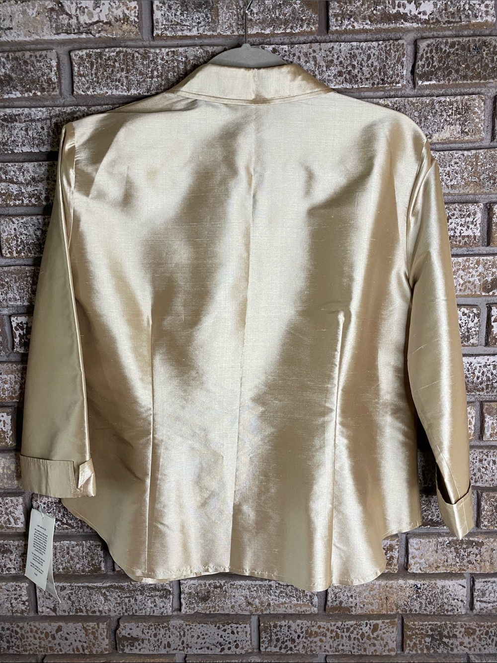 NWT Allison Taylor Shimmery Sand Tone Shantung Silk Covered Button-Front Blouse - Picture 9 of 10